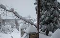 Πυκνό χιόνι και μέσα στο Άγιο Όρος [εικόνες: Ηλίας Καταγής] - Φωτογραφία 4