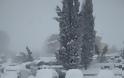 Πυκνό χιόνι και μέσα στο Άγιο Όρος [εικόνες: Ηλίας Καταγής] - Φωτογραφία 5