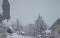 Πυκνό χιόνι και μέσα στο Άγιο Όρος [εικόνες: Ηλίας Καταγής] - Φωτογραφία 6