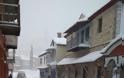Πυκνό χιόνι και μέσα στο Άγιο Όρος [εικόνες: Ηλίας Καταγής] - Φωτογραφία 8