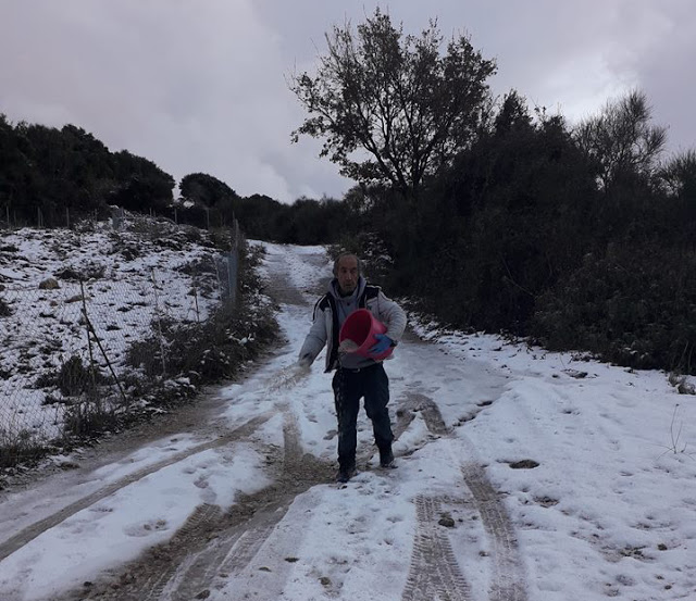 Σε κλοιό χιονιά το ΘΥΡΡΕΙΟ Βόνιτσας, κλειστός ο δρόμος προς το Περγαντί - Φωτογραφία 4