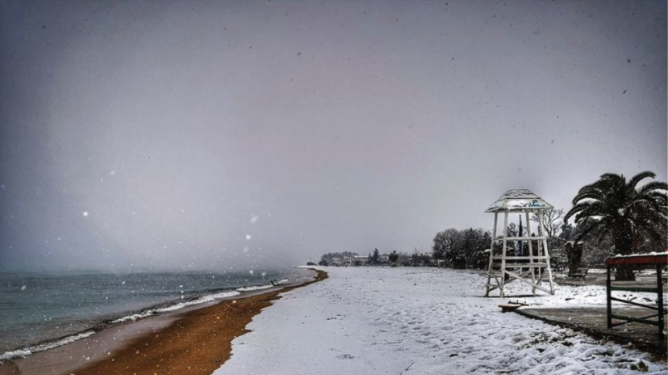 Σφοδρή χιονόπτωση στην Χαλκιδική - Το έστρωσε και στις παραλίες - Φωτογραφία 1