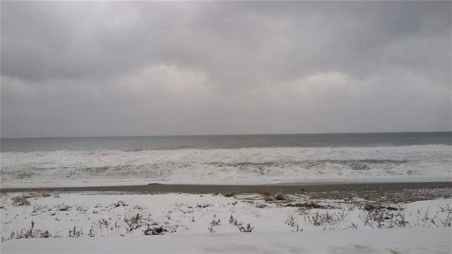 Σφοδρή χιονόπτωση στην Χαλκιδική - Το έστρωσε και στις παραλίες - Φωτογραφία 2