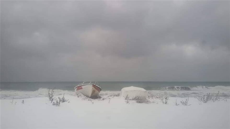 Σφοδρή χιονόπτωση στην Χαλκιδική - Το έστρωσε και στις παραλίες - Φωτογραφία 3