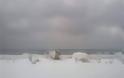 Σφοδρή χιονόπτωση στην Χαλκιδική - Το έστρωσε και στις παραλίες - Φωτογραφία 3