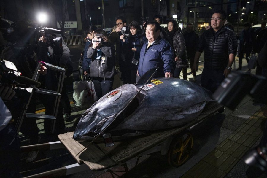 Τα πιο ακριβό ψάρι του κόσμου πωλήθηκε για $3,1 εκατ. στο Τόκιο - Φωτογραφία 1