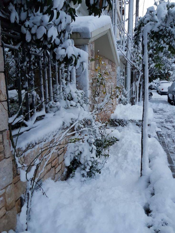 Εικόνες από τη χιονισμένη Αθήνα - Φωτογραφία 22
