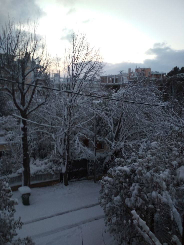 Εικόνες από τη χιονισμένη Αθήνα - Φωτογραφία 24