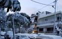 Εικόνες από τη χιονισμένη Αθήνα - Φωτογραφία 20