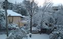Εικόνες από τη χιονισμένη Αθήνα - Φωτογραφία 23