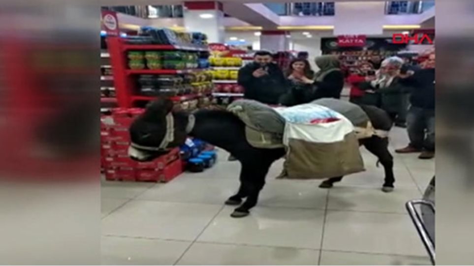 Πάνε με γαϊδούρια και καρότσια στα σούπερ μάρκετ για να μην πληρώσουν για τις πλαστικές σακούλες - Φωτογραφία 1
