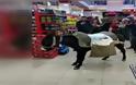 Πάνε με γαϊδούρια και καρότσια στα σούπερ μάρκετ για να μην πληρώσουν για τις πλαστικές σακούλες