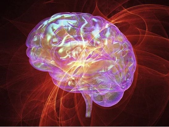 Όλα όσα μάθαμε για τον ανθρώπινο εγκέφαλο το 2018! - Φωτογραφία 1
