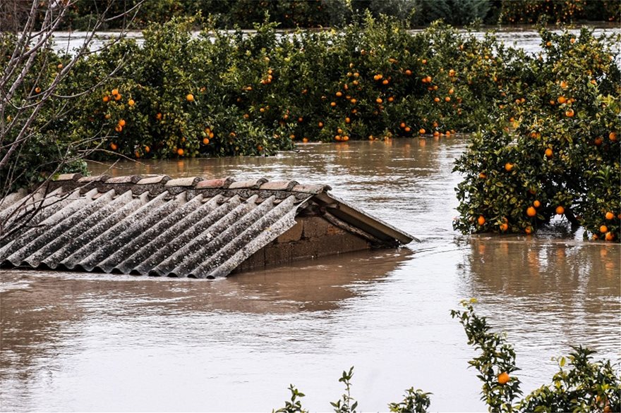 Πλημμύρισε ο Αλφειός – Καταστράφηκαν καλλιέργειες - Φωτογραφία 6