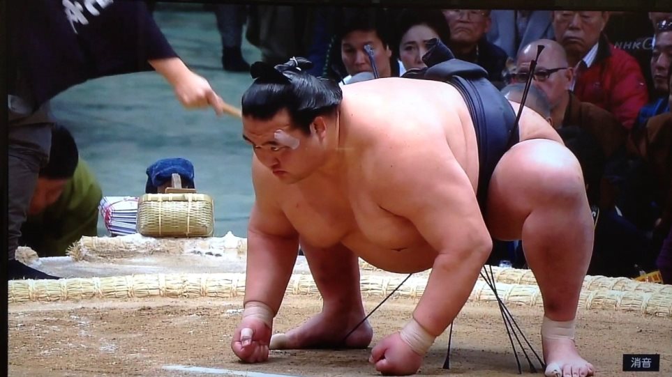 Ιαπωνία: Αποσύρεται ο τελευταίος πρωταθλητής του σούμο - Φωτογραφία 1