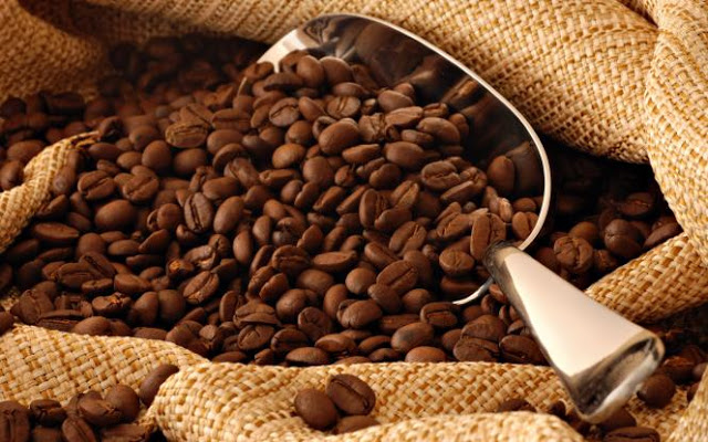Είδος προς εξαφάνιση ο καφές - Πανικός στους παραγωγούς και στους... καφεπότες - Φωτογραφία 1