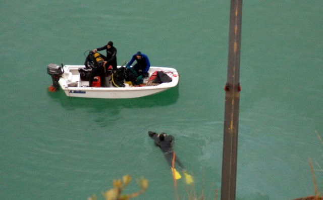 Tραγωδία στη λίμνη Στράτου: εντοπίστηκε το όχημα με τη σορό της 35χρονης μέσα - Φωτογραφία 3