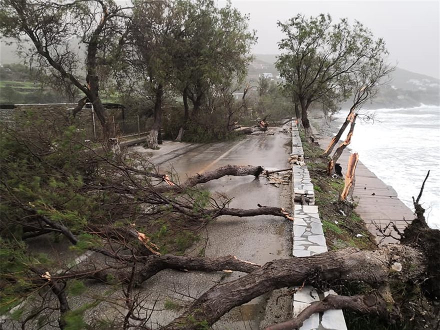 Κακοκαιρία: Οι ισχυροί άνεμοι ξεσήκωσαν δέντρα σε Ρόδο και Τήνο - Φωτογραφία 2