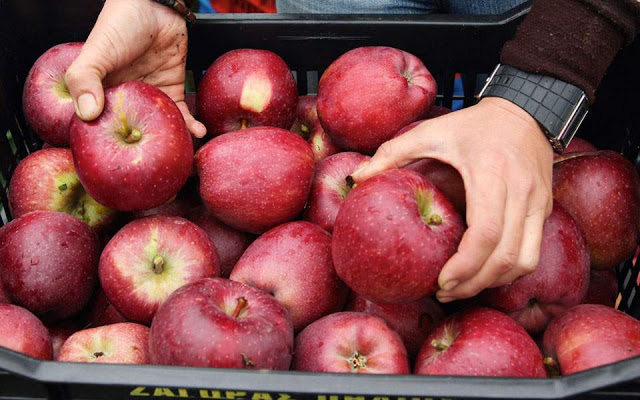 10+1 τροφές που θα σας βοηθήσουν να αποτοξινώσετε το συκώτι σας! - Φωτογραφία 2