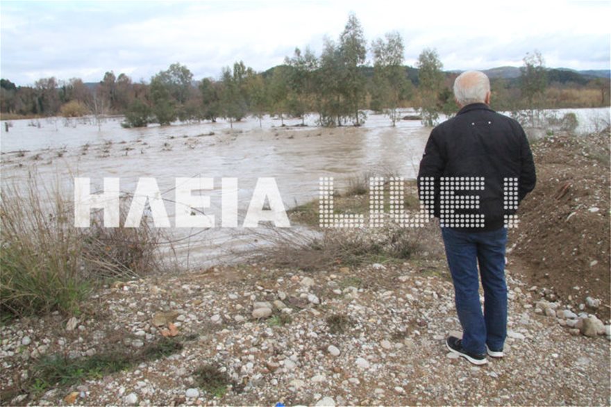 Ηλεία: Οι πλημμύρες μετέτρεψαν σε λίμνη τον κάμπο του Αλφειού! - Φωτογραφία 3
