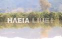 Ηλεία: Οι πλημμύρες μετέτρεψαν σε λίμνη τον κάμπο του Αλφειού! - Φωτογραφία 5