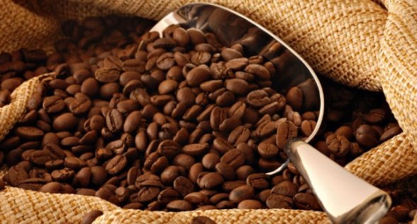 Γιατί κινδυνεύει να εξαφανιστεί το 60% των ποικιλιών του καφέ; - Φωτογραφία 2