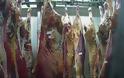 Σάλος στην Πολωνία: Έκαναν εξαγωγές κρέατος από άρρωστες αγελάδες σε χώρες της ΕΕ - Φωτογραφία 2