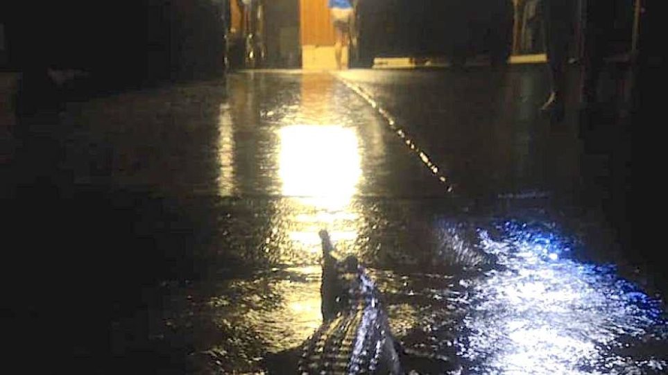 Πλημμύρισε το Κουίνσλαντ - Βγήκαν οι κροκόδειλοι στους δρόμους! - Φωτογραφία 1
