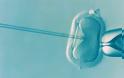 Εξωσωματική γονιμοποίηση: Ελαφρώς αυξημένος ο κίνδυνος επιπλοκών στην κύηση