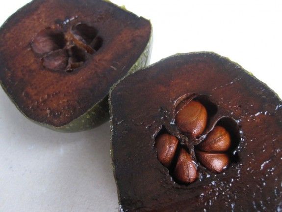 Diospyros digyna: ένα φρούτο με γεύση σοκολάτας! - Φωτογραφία 1