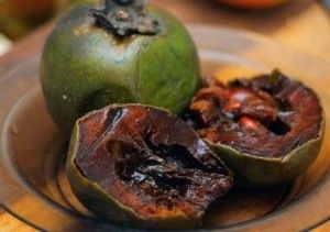 Diospyros digyna: ένα φρούτο με γεύση σοκολάτας! - Φωτογραφία 3