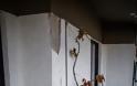 Ζημιές σε σπίτια και διακοπή ρεύματος από τα 5,2 Ρίχτερ στην Πρέβεζα - Φωτογραφία 3