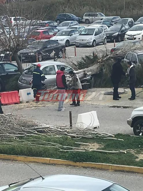 Δυτική Ελλάδα: Τεράστιο δέντρο έπεσε σε αυτοκίνητα στο πάρκινγκ του Πανεπιστημιακού Νοσοκομείου – Από θαύμα δεν θρηνήσαμε θύματα – Μεγάλη επιχείρηση της Πυροσβεστικής (ΔΕΙΤΕ ΦΩΤΟ) - Φωτογραφία 2