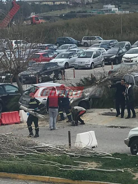 Δυτική Ελλάδα: Τεράστιο δέντρο έπεσε σε αυτοκίνητα στο πάρκινγκ του Πανεπιστημιακού Νοσοκομείου – Από θαύμα δεν θρηνήσαμε θύματα – Μεγάλη επιχείρηση της Πυροσβεστικής (ΔΕΙΤΕ ΦΩΤΟ) - Φωτογραφία 3