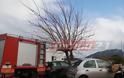 Δυτική Ελλάδα: Τεράστιο δέντρο έπεσε σε αυτοκίνητα στο πάρκινγκ του Πανεπιστημιακού Νοσοκομείου – Από θαύμα δεν θρηνήσαμε θύματα – Μεγάλη επιχείρηση της Πυροσβεστικής (ΔΕΙΤΕ ΦΩΤΟ)
