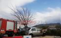 Δυτική Ελλάδα: Τεράστιο δέντρο έπεσε σε αυτοκίνητα στο πάρκινγκ του Πανεπιστημιακού Νοσοκομείου – Από θαύμα δεν θρηνήσαμε θύματα – Μεγάλη επιχείρηση της Πυροσβεστικής (ΔΕΙΤΕ ΦΩΤΟ) - Φωτογραφία 4