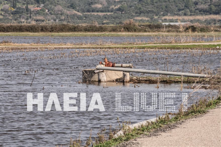 Ηλεία: Ξανάγινε... λίμνη η Αγουλινίτσα - Φωτογραφία 7