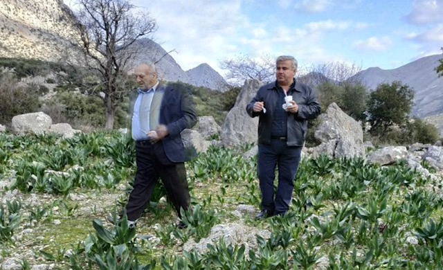 Στη ΚΑΝΔΗΛΑ (Κραββαρέϊκα) γιόρτασαν τον Άγιο Θεόδωρο τον Στρατηλάτη! - Φωτογραφία 6