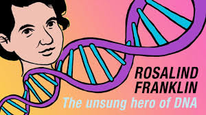 Rosalind Franklin : Η αφανής ηρωίδα του DNA - Φωτογραφία 1