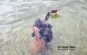 Ναύπλιο: Μεγάλο χταπόδι άρπαξε κορμοράνο [εικόνες και βίντεο] - Φωτογραφία 2