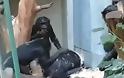 Σώστε τον Μπίλι: Τρομακτικό bullying πιθήκων σε χιμπατζή μέσα σε ζωολογικό κήπο - Φωτογραφία 1