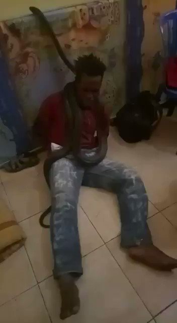 Ένα φίδι ως όργανο βασανιστηρίων σε αστυνομικό τμήμα της Ινδονησίας (βίντεο) - Φωτογραφία 2