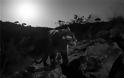 Φωτογράφος απαθανάτισε για πρώτη φορά μετά από 100 χρόνια μαύρη λεοπάρδαλη στην Αφρική - Φωτογραφία 2