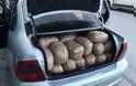 Θεσπρωτία: Χειροπέδες σε 49χρονο για μεταφορά 127 κιλών κάνναββης - Φωτογραφία 1