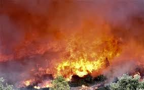 H ΠΟΕΥΠΣ για το πόρισμα της Επιτροπής Διαχείρισης Πυρκαγιών Δασών και Υπαίθρου - Φωτογραφία 1