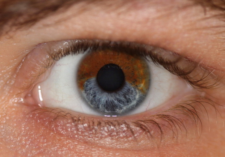 Επτά τρόποι που μπορούν ν’ αλλάξουν το χρώμα των ματιών σας - Φωτογραφία 7