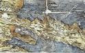 11716 - Άγιον Όρος και Προχριστιανική Αρχαιότητα - Φωτογραφία 3