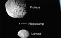 Ιππόκαμπος... από την ελληνική μυθολογία το νέο φεγγάρι του Ποσειδώνα - Φωτογραφία 4