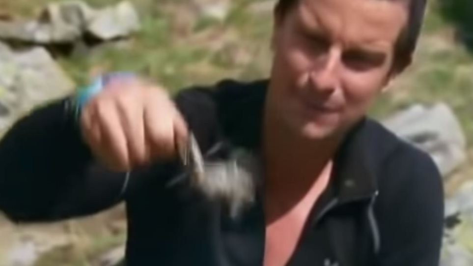 Διάσημος παρουσιαστής απειλείται με πρόστιμο γιατί έφαγε βάτραχο - Φωτογραφία 1