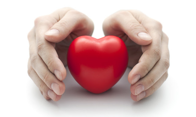 Καρδιά: Τι πρέπει να γνωρίζουμε όλοι μας για ένα από τα σημαντικότερα όργανα του σώματός μας; - Φωτογραφία 1